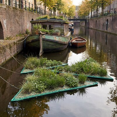 Dreieckige schwimmende Pflanzeninseln in einem historischen Stadtkanal