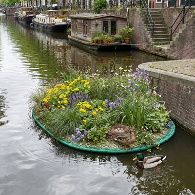 Oval bepflanzte schwimmende Pflanzeninsel in einem städtischen Kanal