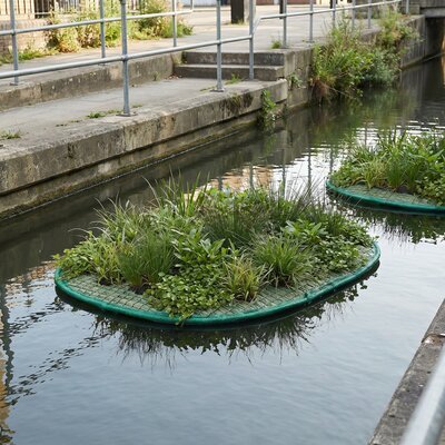 Ovale bepflanzte Schwimminsel in einem städtischen Stillgewässer